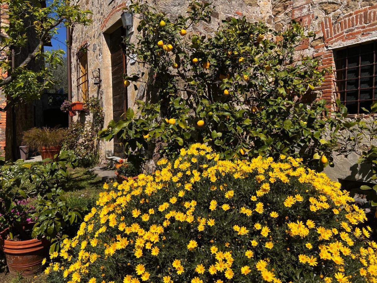La Casina Dei Frati Villa Lucca Kültér fotó