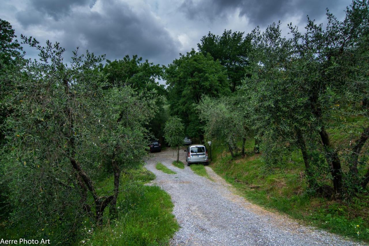 La Casina Dei Frati Villa Lucca Kültér fotó